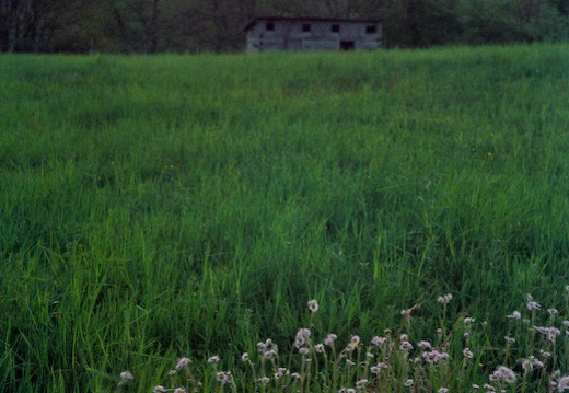 Hog Pen, Hensley Settlement at Sunset